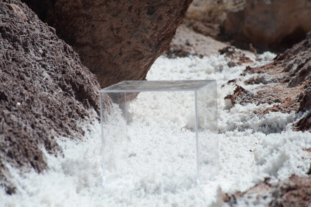 Homage to Soil