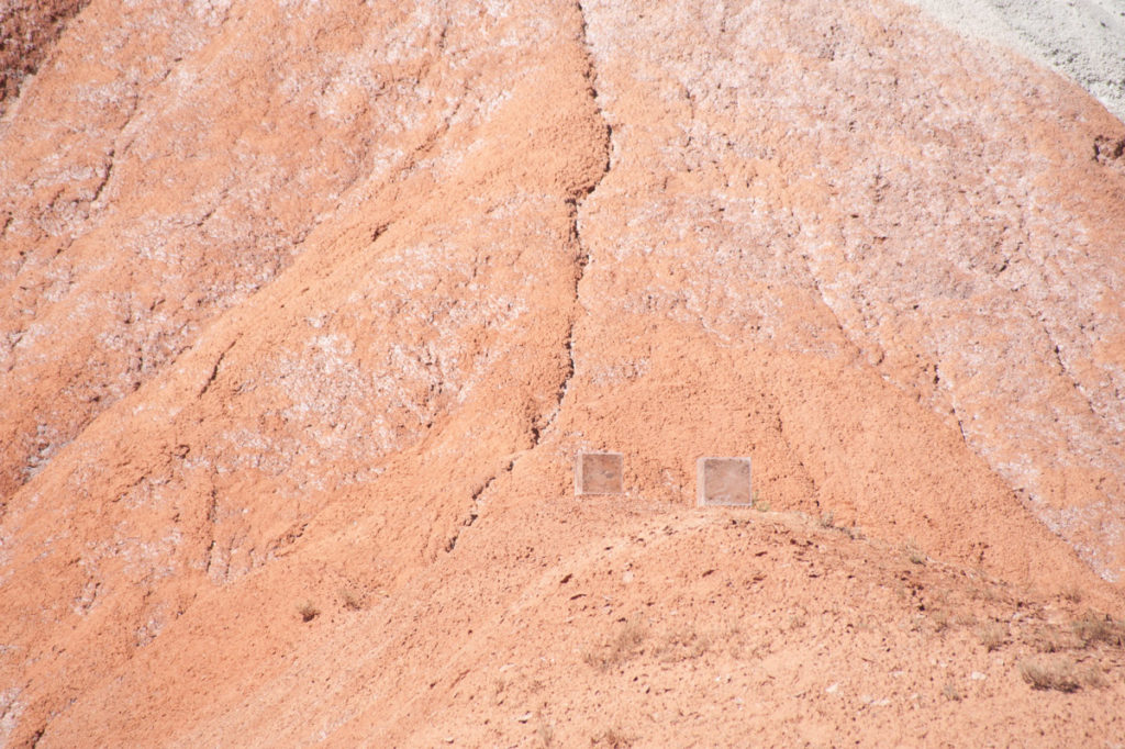 Homage to Soil