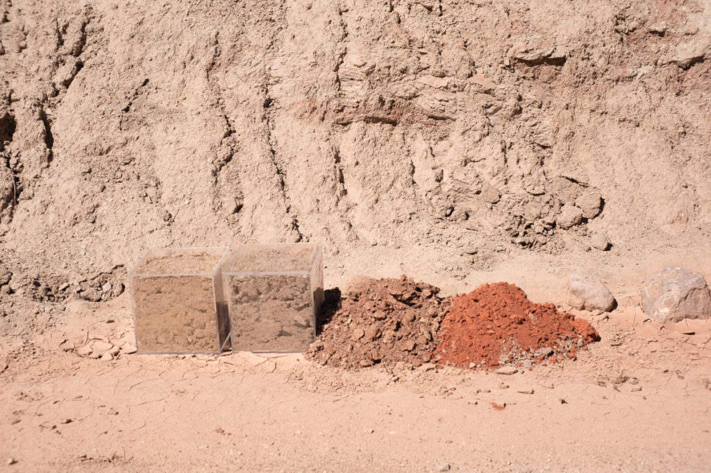 Homage to Soil