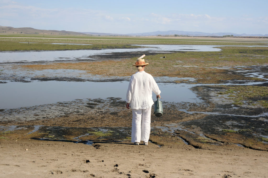 Meditations on Desertification