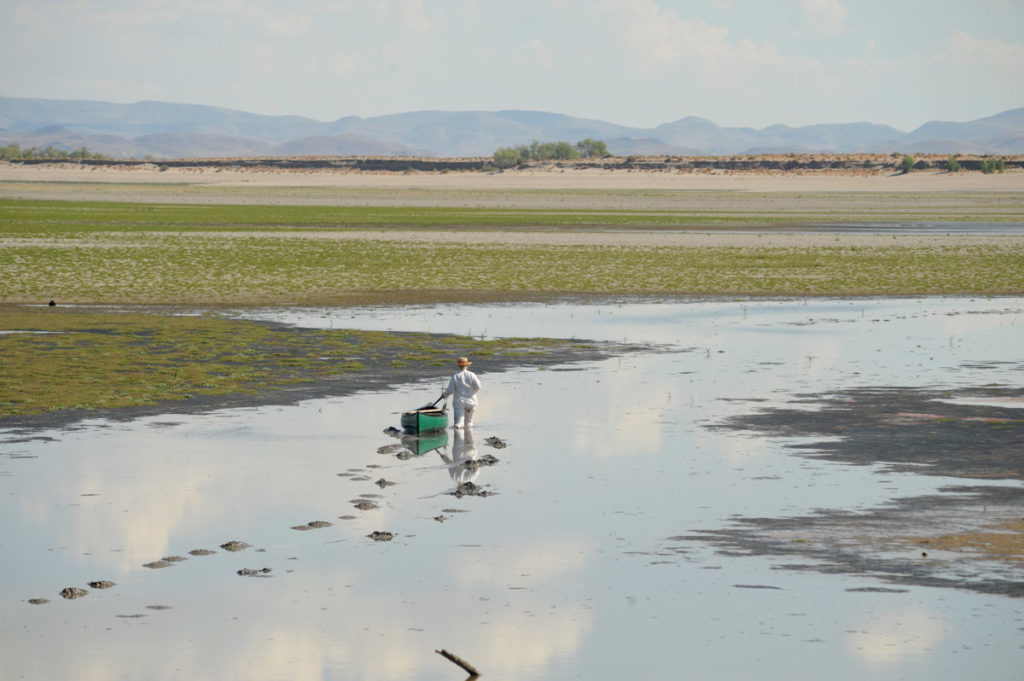 Meditations on Desertification