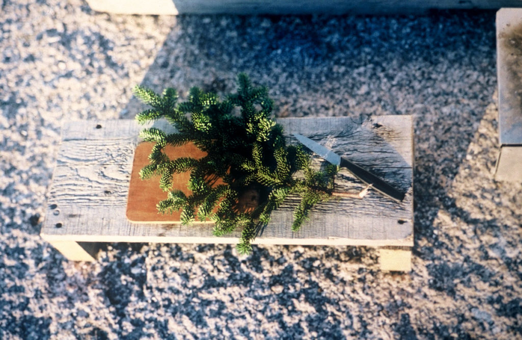 Projects on Nothingness