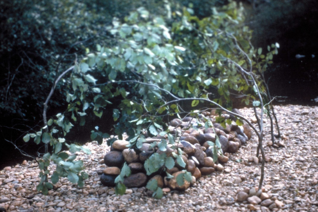 Riverbed with canopy of leaves