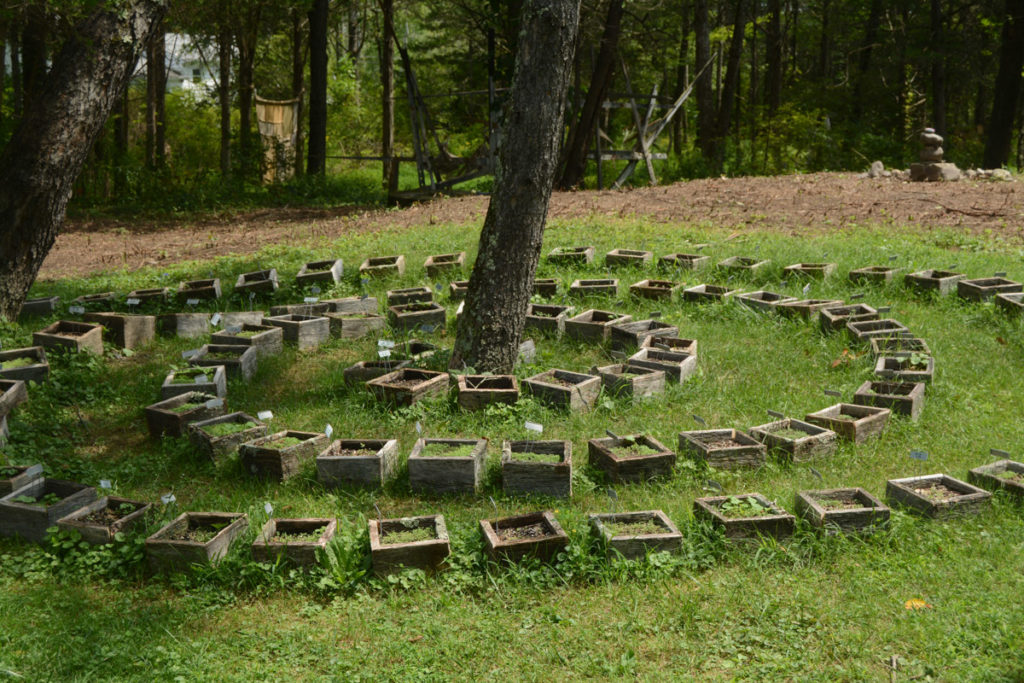 "Transition" for Composed to Decompose